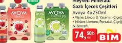 AVOYA MEYVELİ MİNERALLİ GAZLI İÇEÇEK ÇEŞİTLERİ 4X250 ML fiyat ve kampanya bilgisi